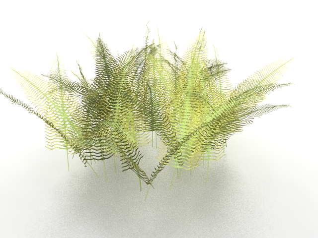Fern plants 3d rendering