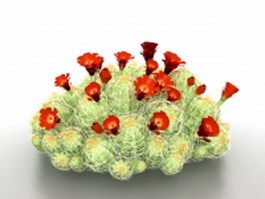 Landscaping cactus with red flower 3d model preview