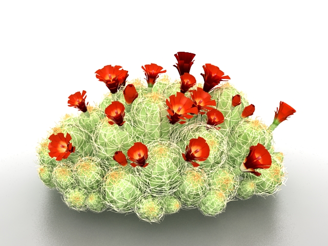 Landscaping cactus with red flower 3d rendering