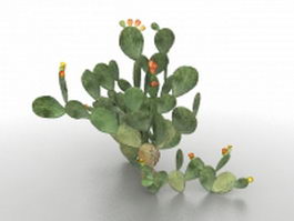 Opuntia cactus plant 3d model preview