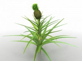 Pineapples plant 3d model preview