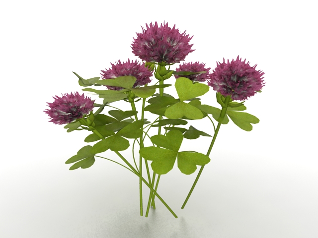 Light purple flower plant 3d rendering