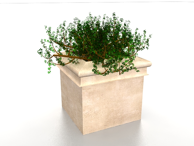 Square outdoor planter 3d rendering