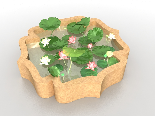 Lotus pond for landscaping 3d rendering