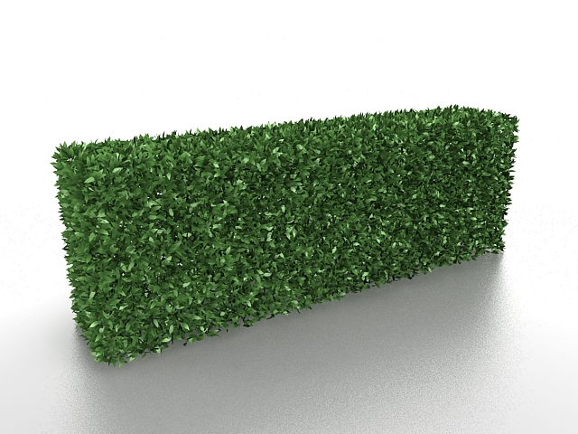 Box hedge plants 3d rendering