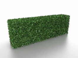 Box hedge plants 3d model preview