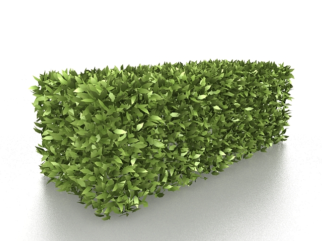Box hedge shrubs 3d rendering