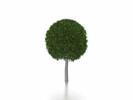 Topiary tree 3d model preview