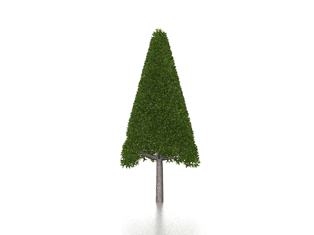 Cone topiary tree 3d rendering