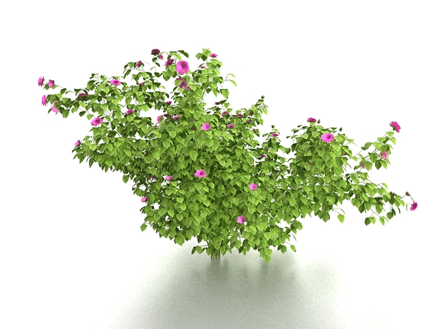Shrub with pink flowers 3d rendering
