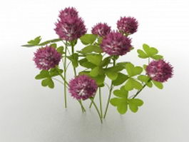 Purple peony flowers 3d model preview