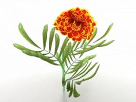 Orange chrysanthemum flower 3d model preview