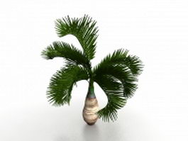 Small palm tree for landscaping 3d model preview