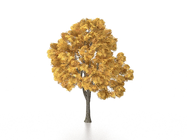 Yellow autumn tree 3d rendering