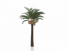 Coconuts and palm tree 3d model preview