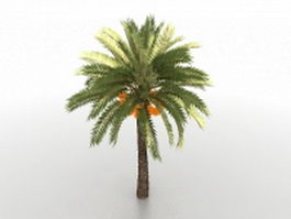Palm tree with coconuts 3d model preview
