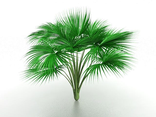 Cat palm tree 3d model 3ds max files free download - CadNav