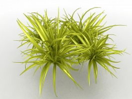 Ornamental grass plant 3d model preview