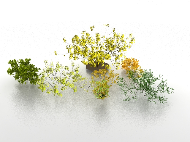 Garden shrubs and bushes 3d rendering