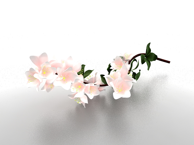 Pear blossom flower 3d rendering