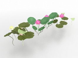 Lotus flower and leaves 3d model preview