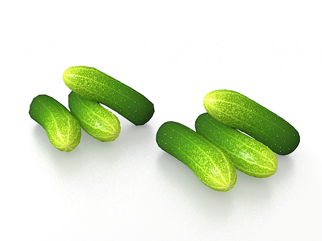 Green cucumber 3d rendering