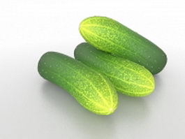 Lebanese cucumber 3d model preview