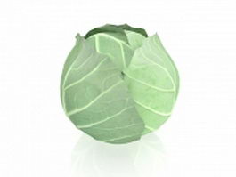 White cabbage 3d model preview
