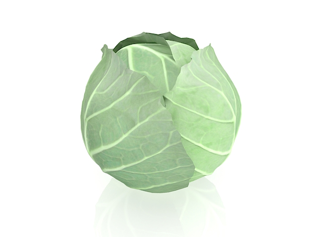 White cabbage 3d rendering