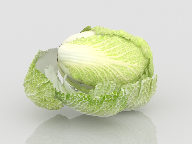 Chinese cabbage 3d rendering