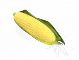 Mature maize ear 3d preview