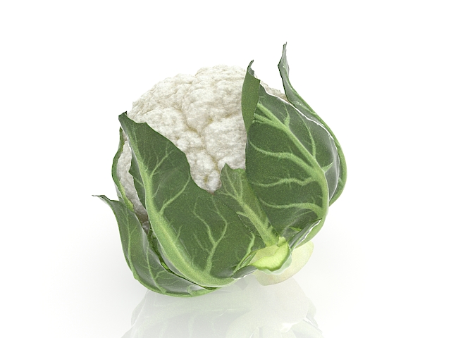 White cauliflower 3d rendering