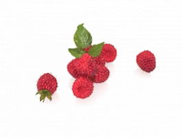 Red mulberry fruit 3d preview