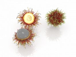 Rambutan fruit and cut open 3d preview