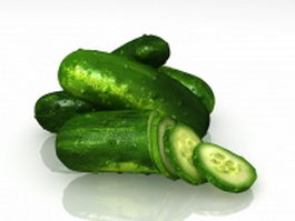 Cucumber and slices 3d model preview