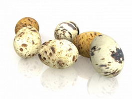 Partridge eggs 3d model preview