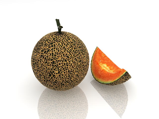 Cantaloupe melon and slice 3d rendering