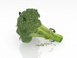 Single stalk broccoli 3d model preview