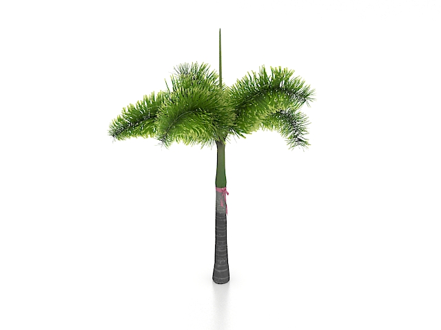 Tropical palm tree 3d rendering