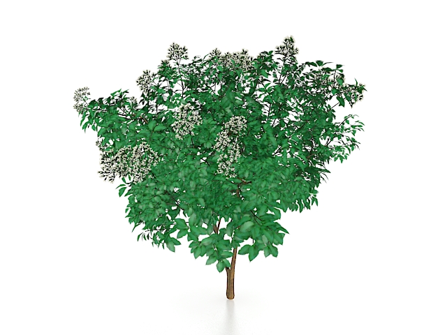 Tree with white flowers 3d rendering