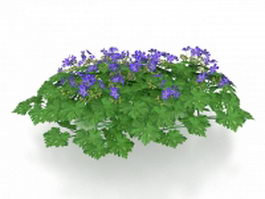 Purple flowering bush 3d model preview