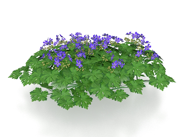 Purple flowering bush 3d rendering