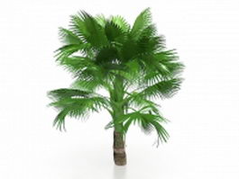 California fan palm tree 3d model preview