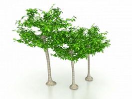 Ornamental garden trees 3d model preview