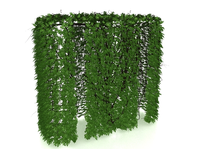 Ivy hedge 3d rendering
