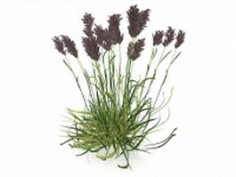 Wetland reed plants 3d model preview