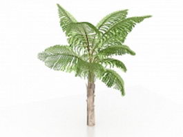 Queen anne palm tree 3d model preview