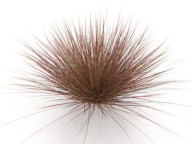 Red grass 3d rendering
