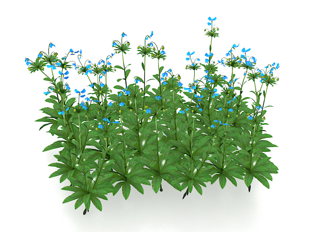 Blue flowers plants 3d rendering