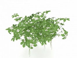 White purple flowering shrubs 3d model preview